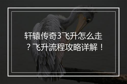 轩辕传奇3飞升怎么走？飞升流程攻略详解！