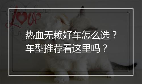 热血无赖好车怎么选？车型推荐看这里吗？