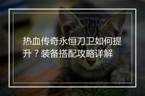 热血传奇永恒刀卫如何提升？装备搭配攻略详解