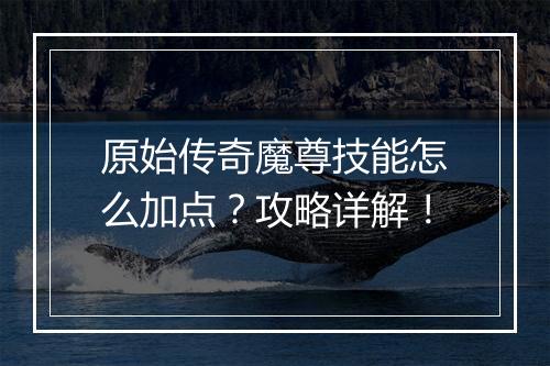 原始传奇魔尊技能怎么加点？攻略详解！