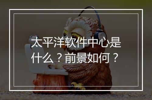 太平洋软件中心是什么？前景如何？
