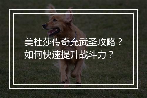 美杜莎传奇充武圣攻略？如何快速提升战斗力？