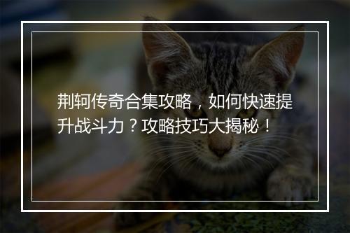 荆轲传奇合集攻略，如何快速提升战斗力？攻略技巧大揭秘！
