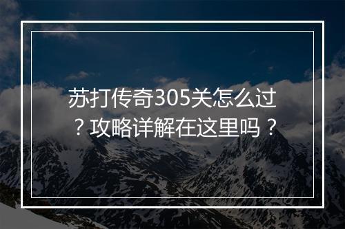 苏打传奇305关怎么过？攻略详解在这里吗？