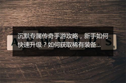 沉默专属传奇手游攻略，新手如何快速升级？如何获取稀有装备？
