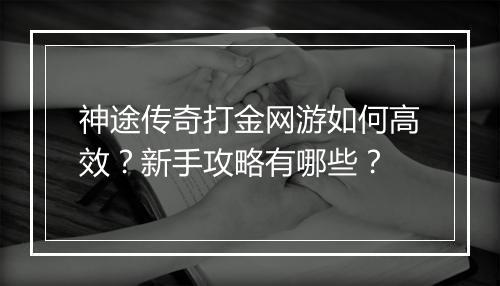 神途传奇打金网游如何高效？新手攻略有哪些？