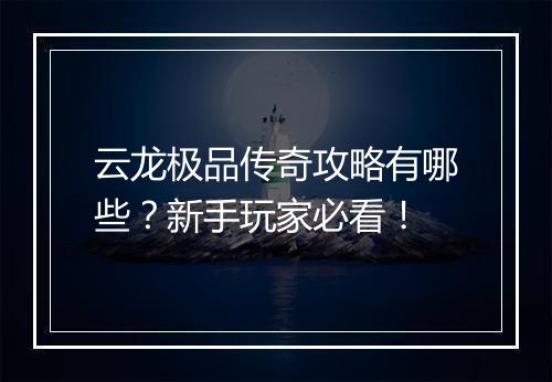 云龙极品传奇攻略有哪些？新手玩家必看！