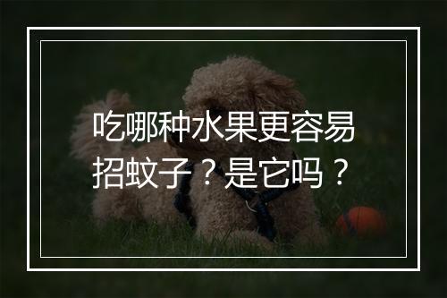 吃哪种水果更容易招蚊子？是它吗？