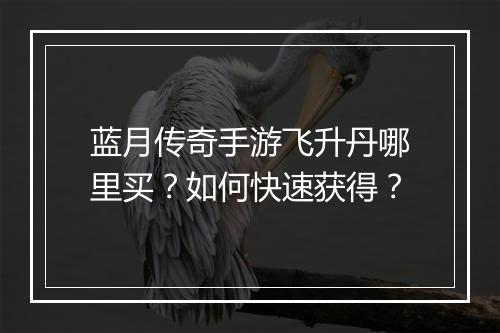蓝月传奇手游飞升丹哪里买？如何快速获得？