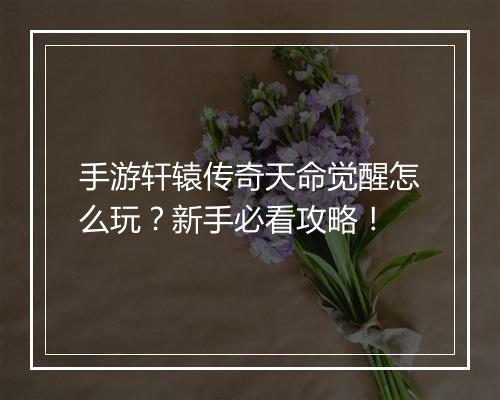 手游轩辕传奇天命觉醒怎么玩？新手必看攻略！