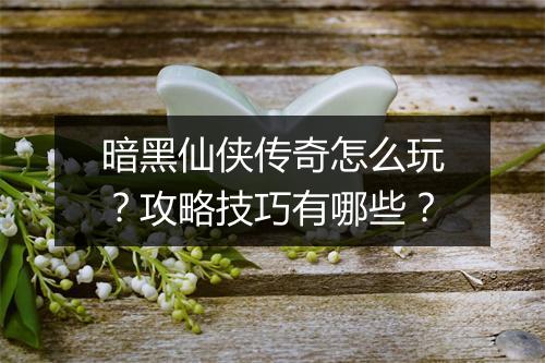 暗黑仙侠传奇怎么玩?攻略技巧有哪些?