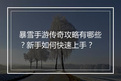 暴雪手游传奇攻略有哪些？新手如何快速上手？