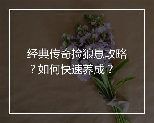 经典传奇捡狼崽攻略？如何快速养成？