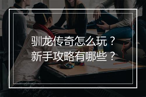 驯龙传奇怎么玩？新手攻略有哪些？