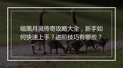 暗黑月灵传奇攻略大全，新手如何快速上手？进阶技巧有哪些？