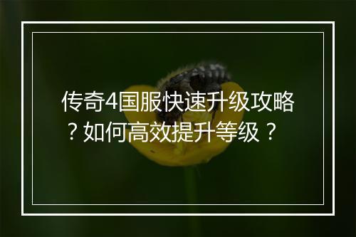 传奇4国服快速升级攻略？如何高效提升等级？