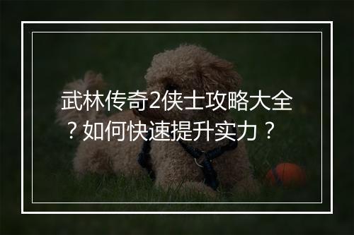 武林传奇2侠士攻略大全？如何快速提升实力？