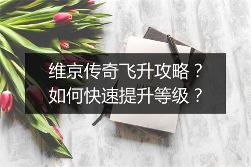 维京传奇飞升攻略？如何快速提升等级？