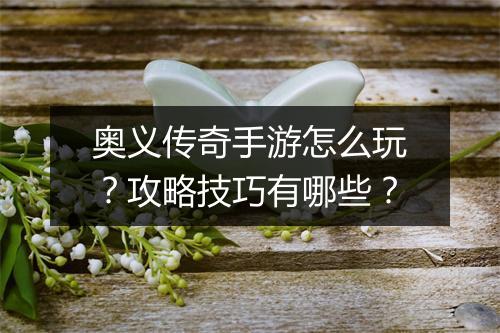 奥义传奇手游怎么玩？攻略技巧有哪些？