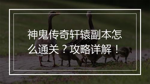 神鬼传奇轩辕副本怎么通关？攻略详解！