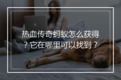 热血传奇蚂蚁怎么获得？它在哪里可以找到？