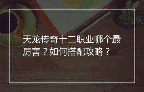 天龙传奇十二职业哪个最厉害？如何搭配攻略？