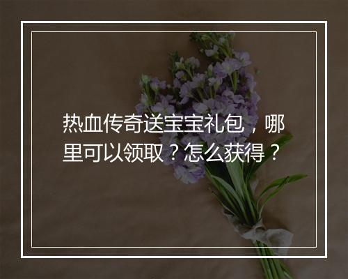 热血传奇送宝宝礼包，哪里可以领取？怎么获得？