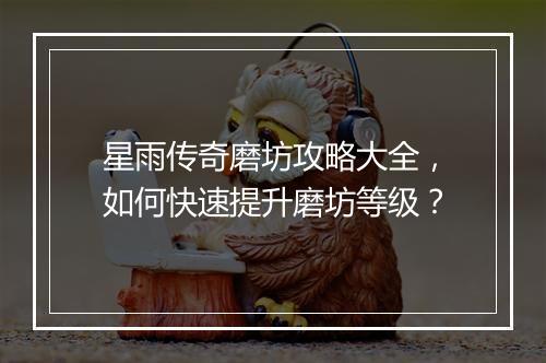 星雨传奇磨坊攻略大全，如何快速提升磨坊等级？