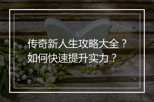 传奇新人生攻略大全？如何快速提升实力？