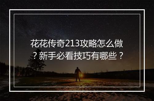 花花传奇213攻略怎么做？新手必看技巧有哪些？