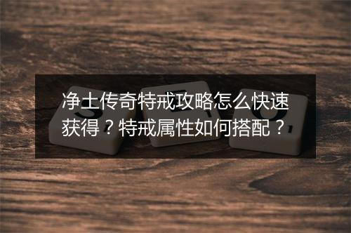 净土传奇特戒攻略怎么快速获得？特戒属性如何搭配？