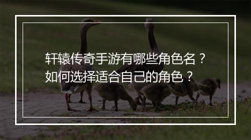 轩辕传奇手游有哪些角色名？如何选择适合自己的角色？