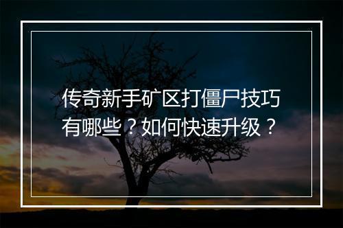 传奇新手矿区打僵尸技巧有哪些？如何快速升级？