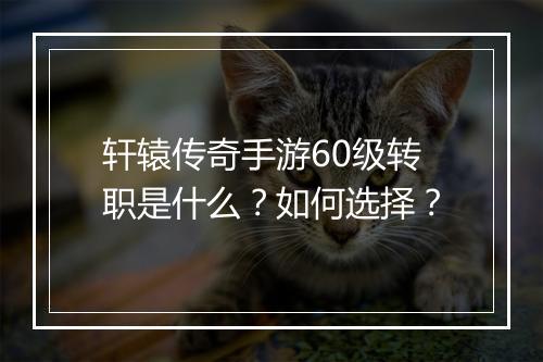 轩辕传奇手游60级转职是什么？如何选择？