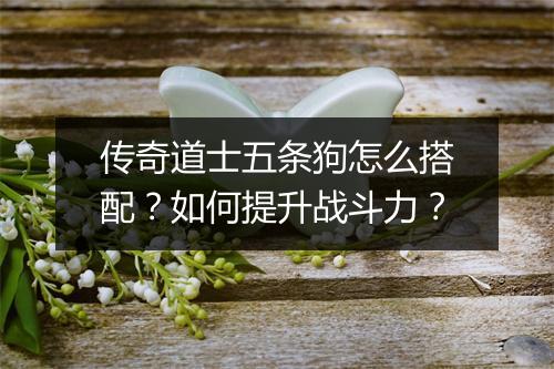 传奇道士五条狗怎么搭配？如何提升战斗力？