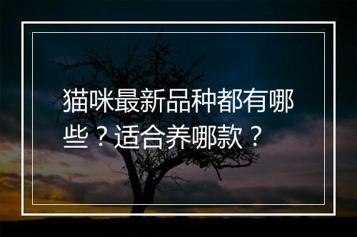 猫咪最新品种都有哪些？适合养哪款？