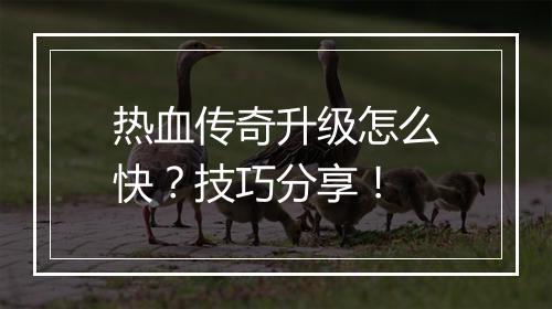 热血传奇升级怎么快？技巧分享！