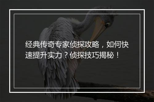 经典传奇专家侦探攻略，如何快速提升实力？侦探技巧揭秘！