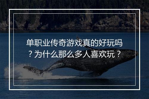 单职业传奇游戏真的好玩吗？为什么那么多人喜欢玩？