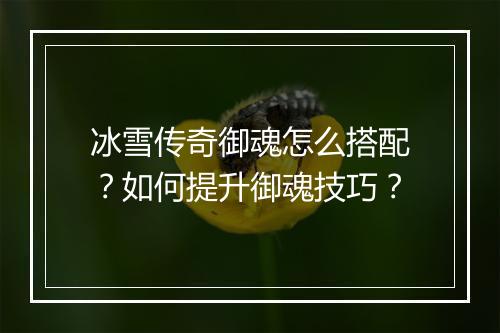 冰雪传奇御魂怎么搭配？如何提升御魂技巧？