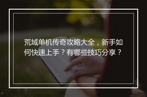 荒域单机传奇攻略大全，新手如何快速上手？有哪些技巧分享？