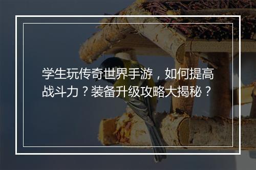 学生玩传奇世界手游，如何提高战斗力？装备升级攻略大揭秘？