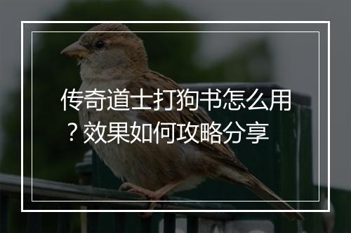 传奇道士打狗书怎么用？效果如何攻略分享