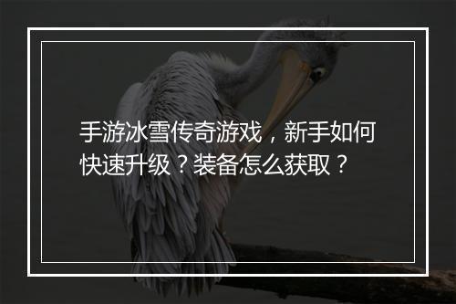 手游冰雪传奇游戏，新手如何快速升级？装备怎么获取？