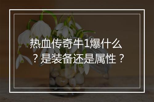 热血传奇牛1爆什么？是装备还是属性？