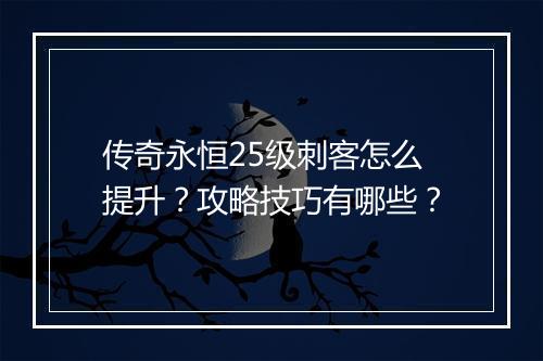 传奇永恒25级刺客怎么提升？攻略技巧有哪些？