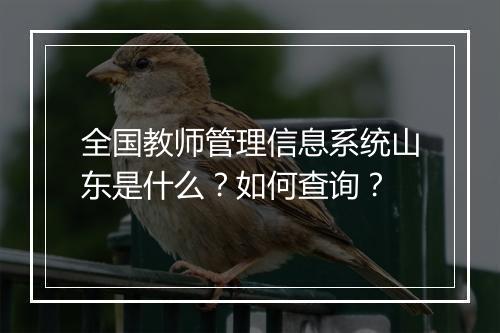 全国教师管理信息系统山东是什么？如何查询？
