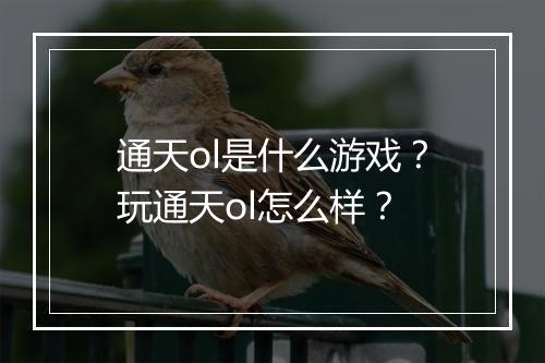 通天ol是什么游戏？玩通天ol怎么样？