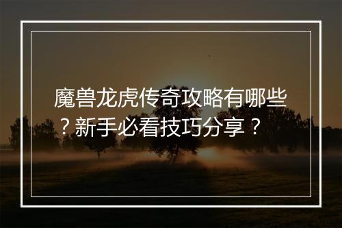 魔兽龙虎传奇攻略有哪些？新手必看技巧分享？