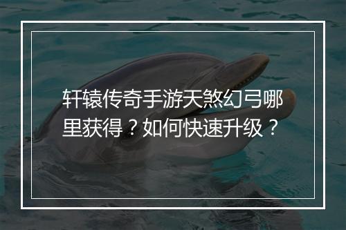 轩辕传奇手游天煞幻弓哪里获得？如何快速升级？